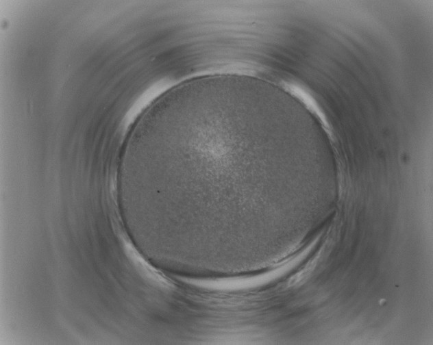 X0000065260952200602242111