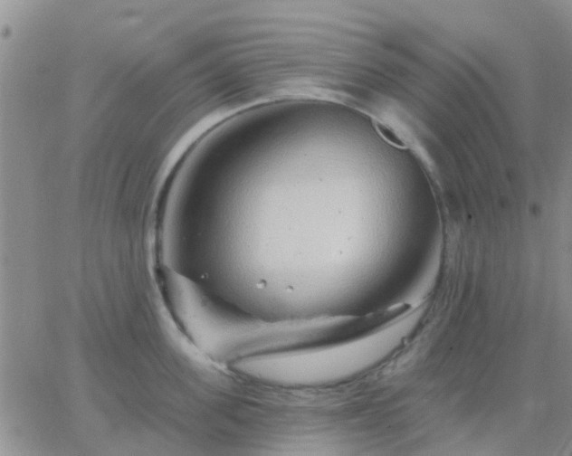 X0000065260955200602242111