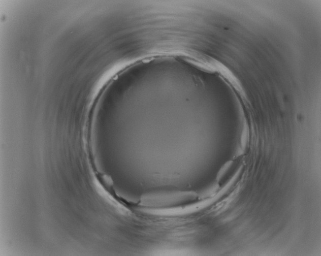 X0000065260958200602242111