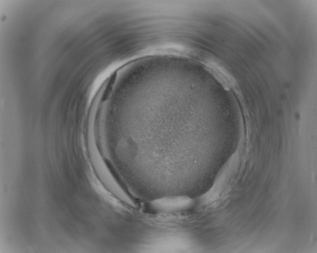 X0000065260960200602242111