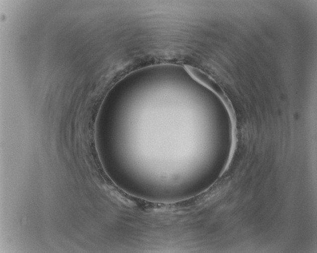 X0000065260961200602242111