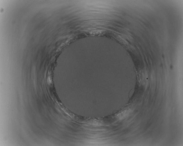 X0000065260962200602242111