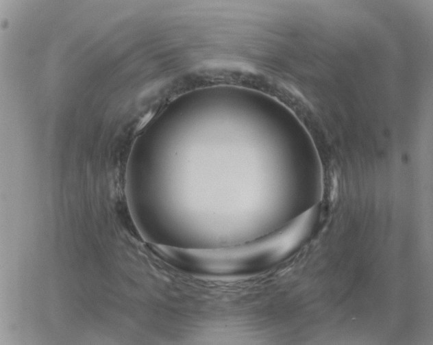 X0000065260965200602242111