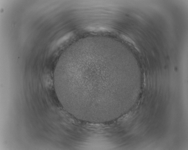 X0000065260966200602242111