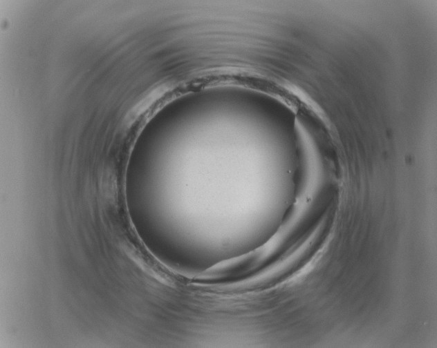 X0000065260969200602242111