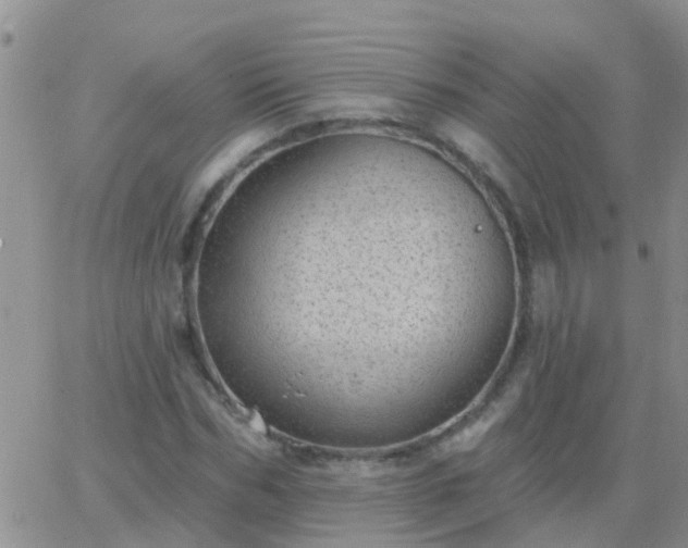 X0000065260970200602242111