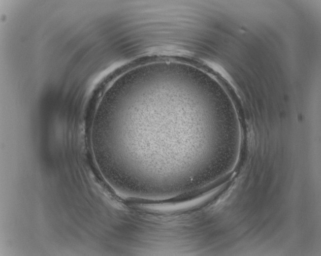 X0000065260971200602242111