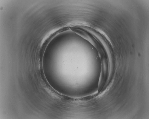 X0000065260973200602242110