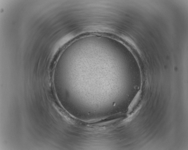 X0000065260974200602242110