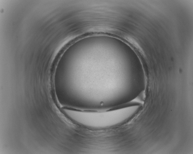 X0000065260976200602242110