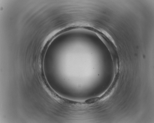 X0000065260981200602242110