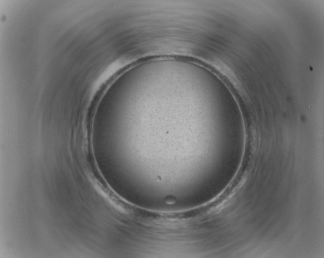 X0000065260982200602242110