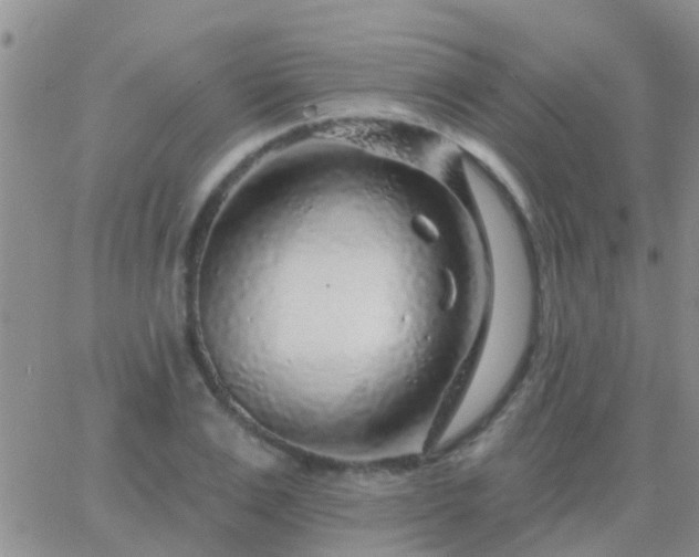 X0000065260983200602242110