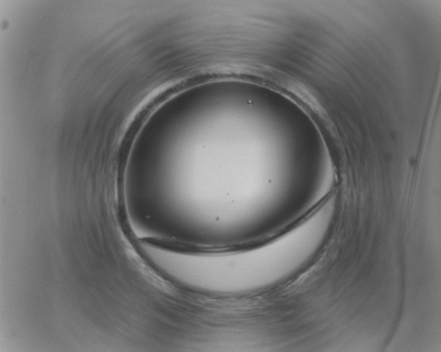 X0000065260984200602242110