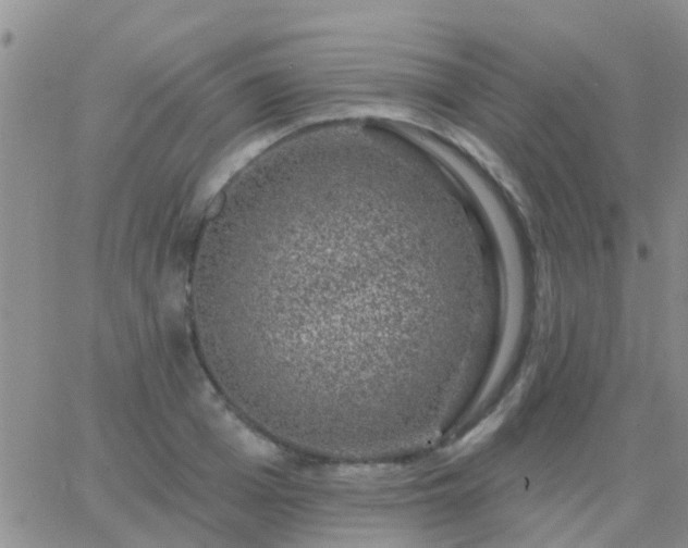 X0000065260985200602242110