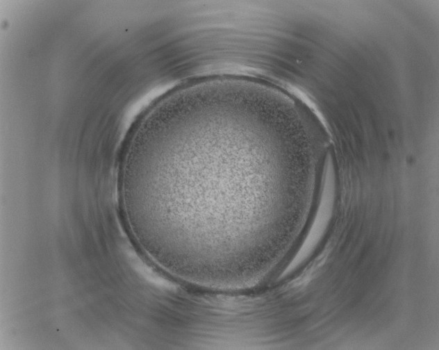 X0000065260987200602242110