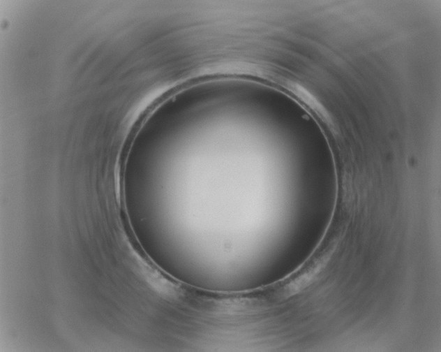 X0000065260988200602242110