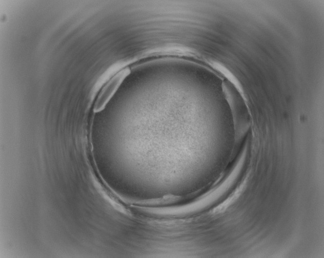 X0000065260989200602242110