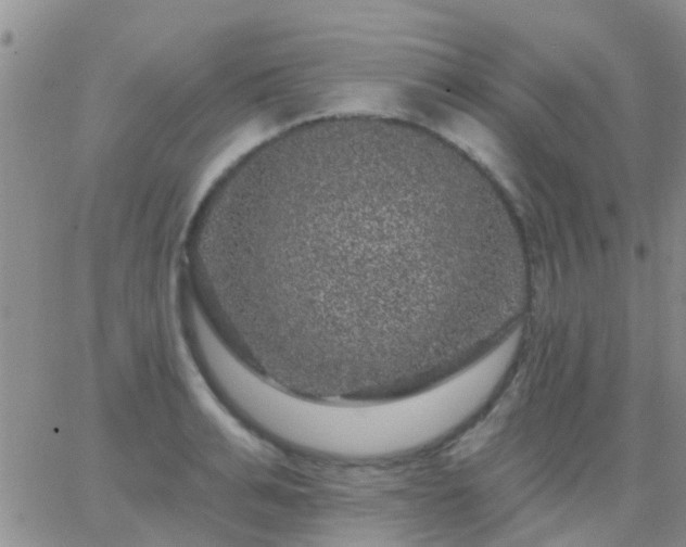 X0000065260991200602242110