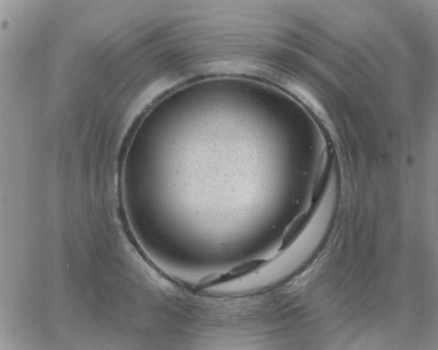 X0000065260992200602242110