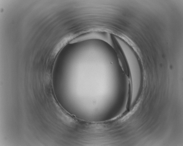 X0000065260993200602242110