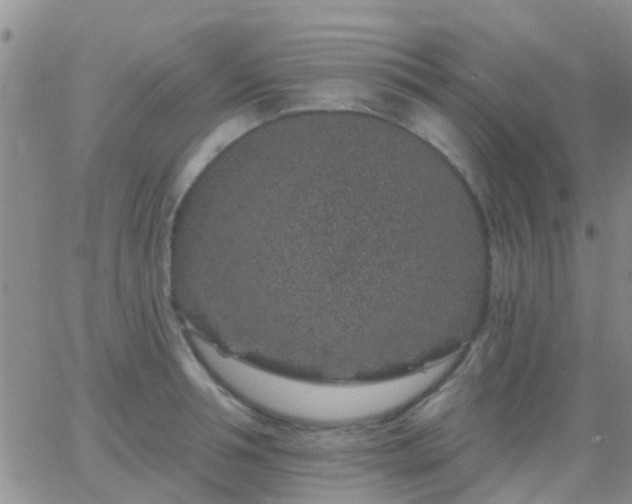 X0000065260994200602242110