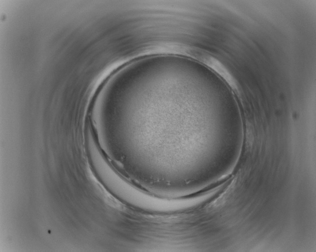 X0000065260996200602242110