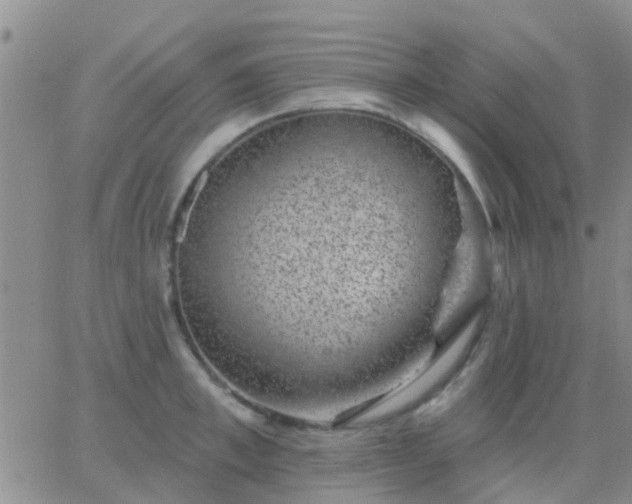 X0000065260997200602242110