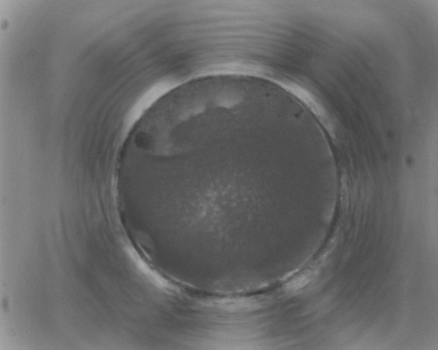 X0000065260998200602242110