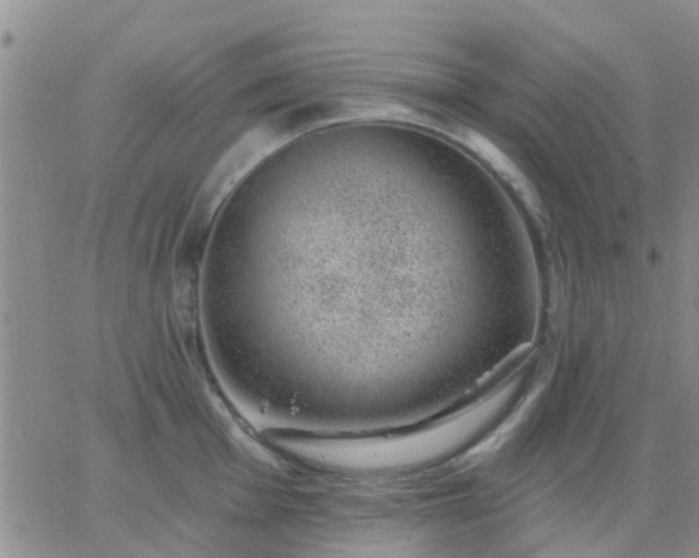 X0000065261001200602242110