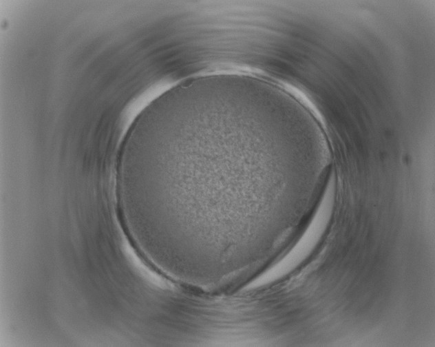 X0000065261003200602242110