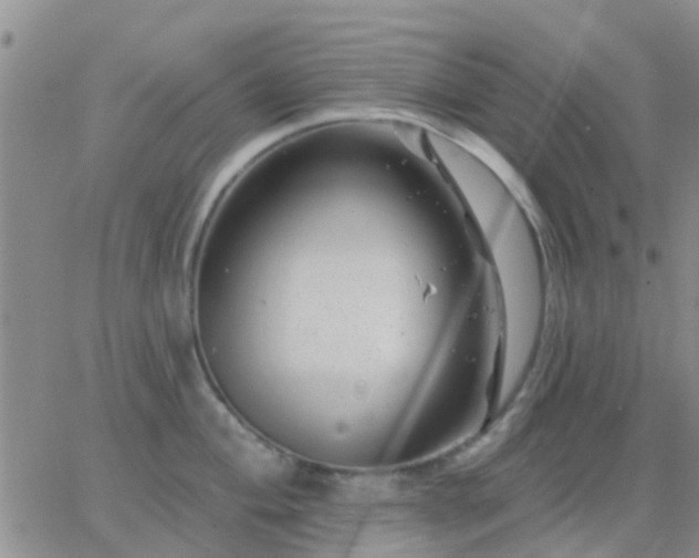 X0000065261004200602242110