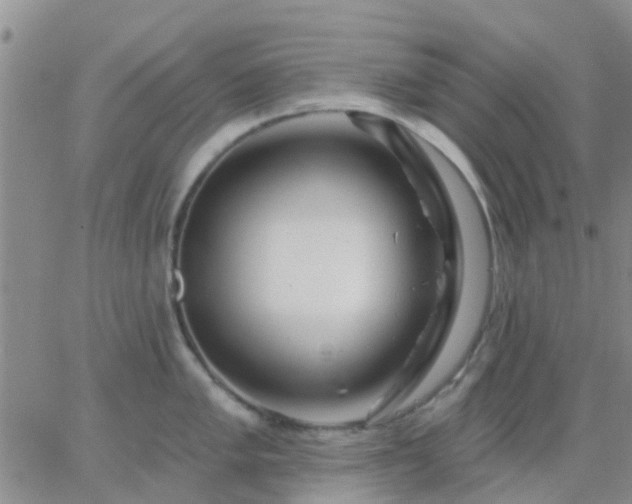 X0000065261005200602242110