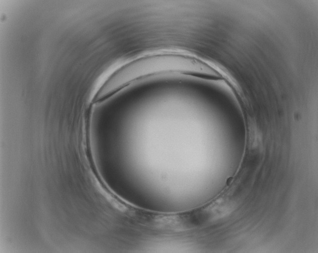 X0000065261006200602242110