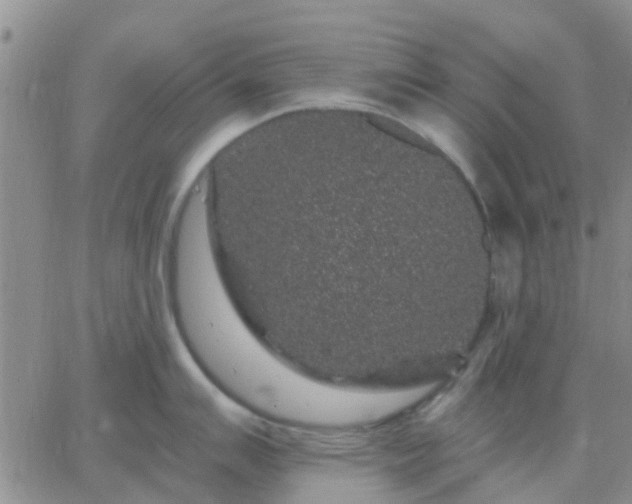 X0000065261007200602242110