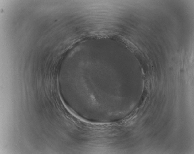 X0000065261010200602242109