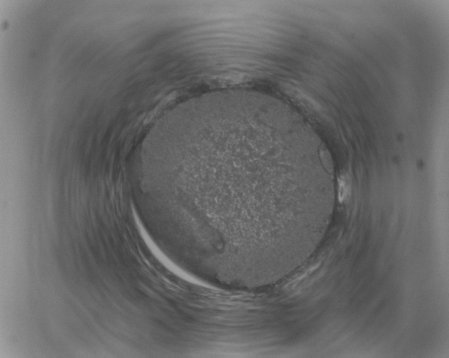 X0000065261011200602242109