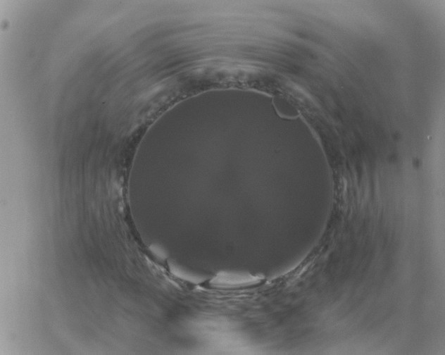 X0000065261013200602242109