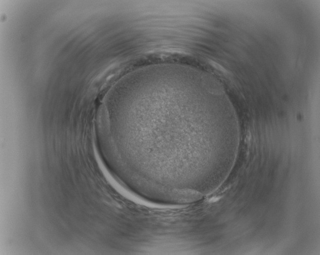 X0000065261014200602242109