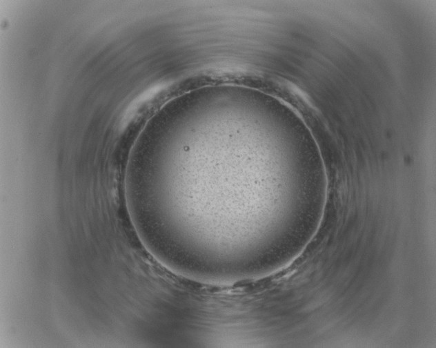 X0000065261016200602242109