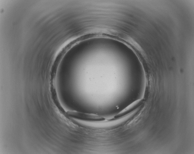 X0000065261020200602242109