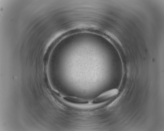 X0000065261021200602242109