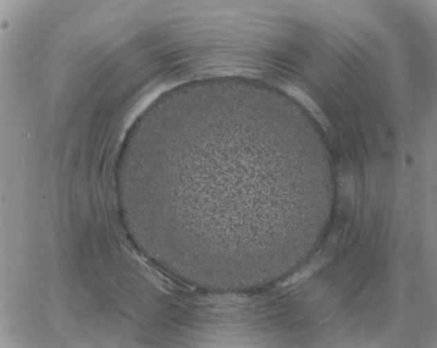 X0000065261023200602242109