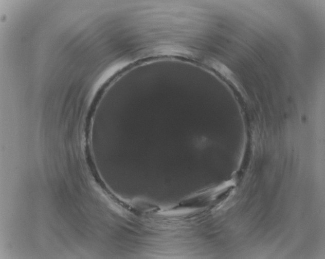 X0000065261024200602242109