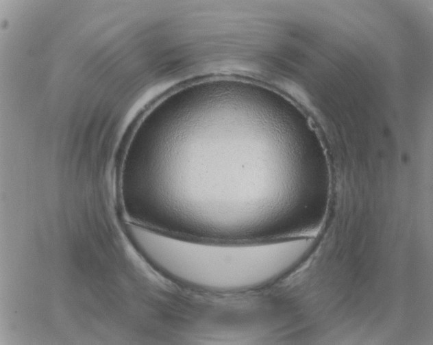 X0000065261032200602242110