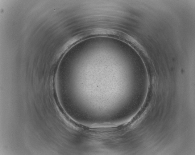 X0000065261033200602242110