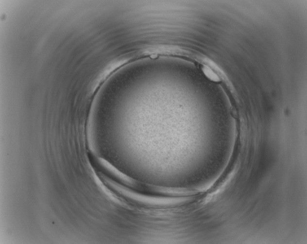 X0000065261041200602242110