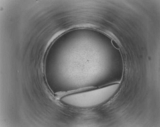 X0000065261044200602242110