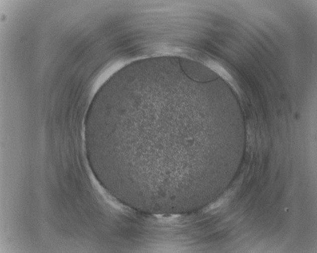 X0000065261047200602242110