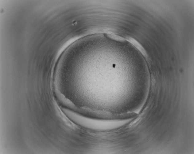 X0000065261052200602242110